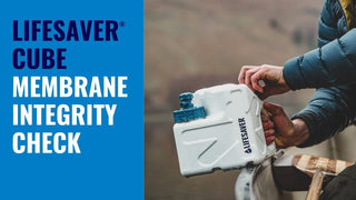 Membrane integrity check